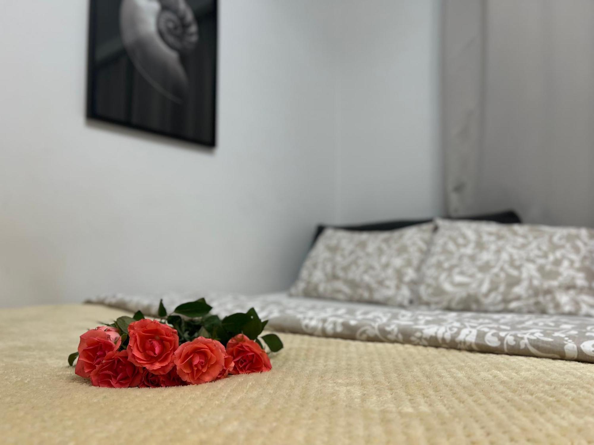 Parkcity Bogucice Karoliny Katowice Kültér fotó